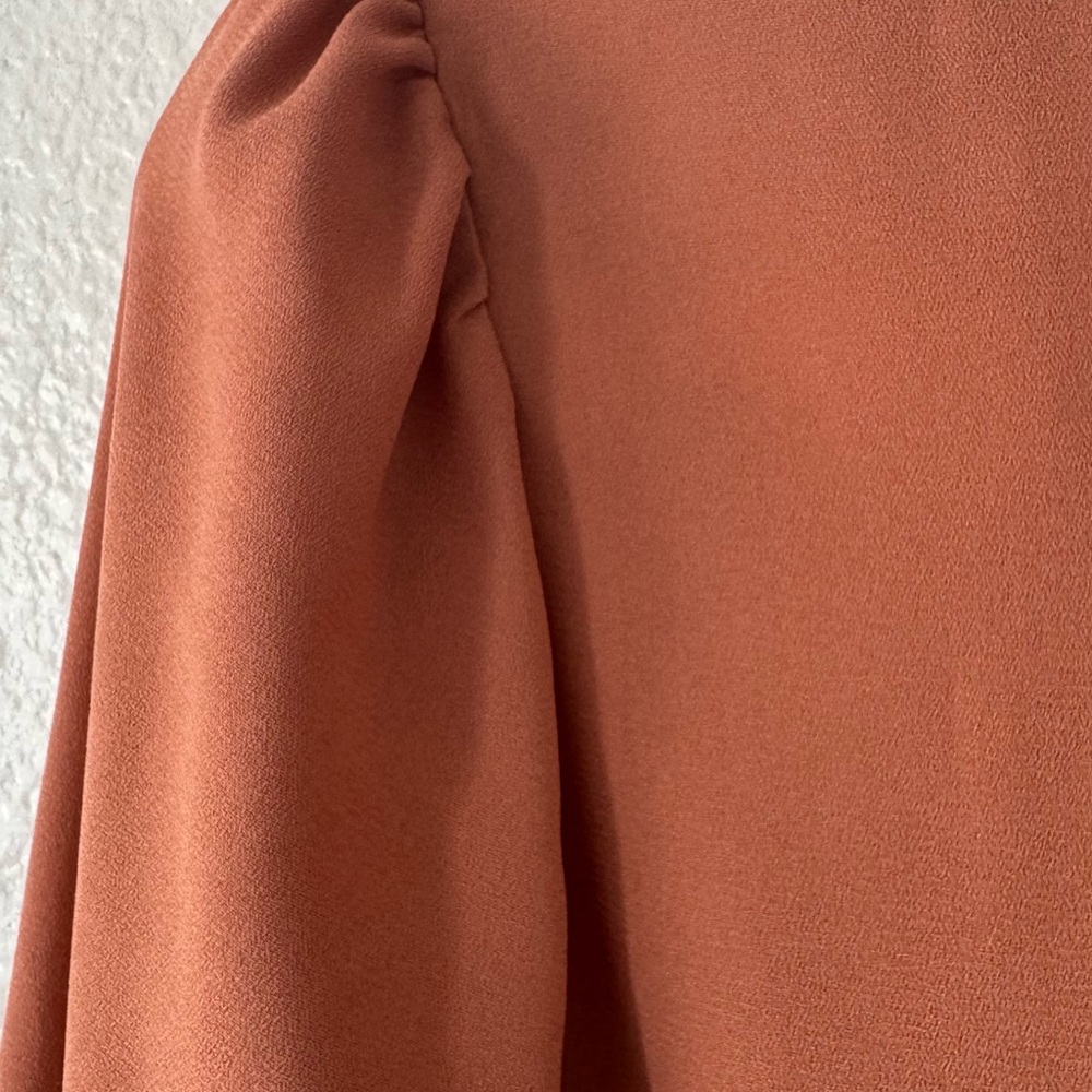 Nine West Rust Orange Long Sleeve Semi Sheer Tie Front Blouse - Picture 4 of 11